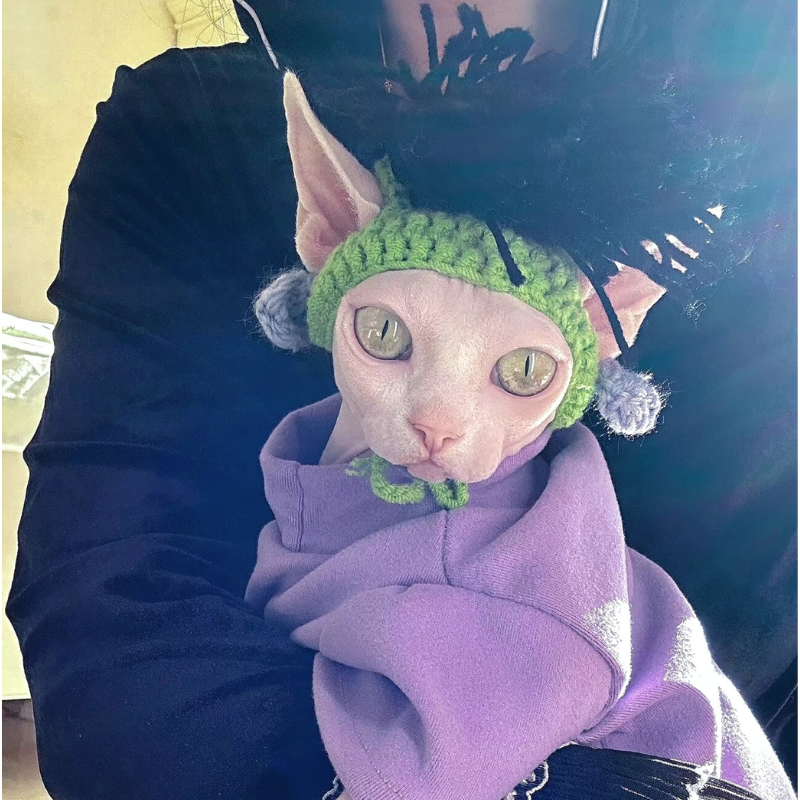Punk Rock Kitty Wig Hat