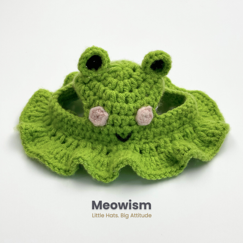 🐸 Frog Prince Kitty Hat