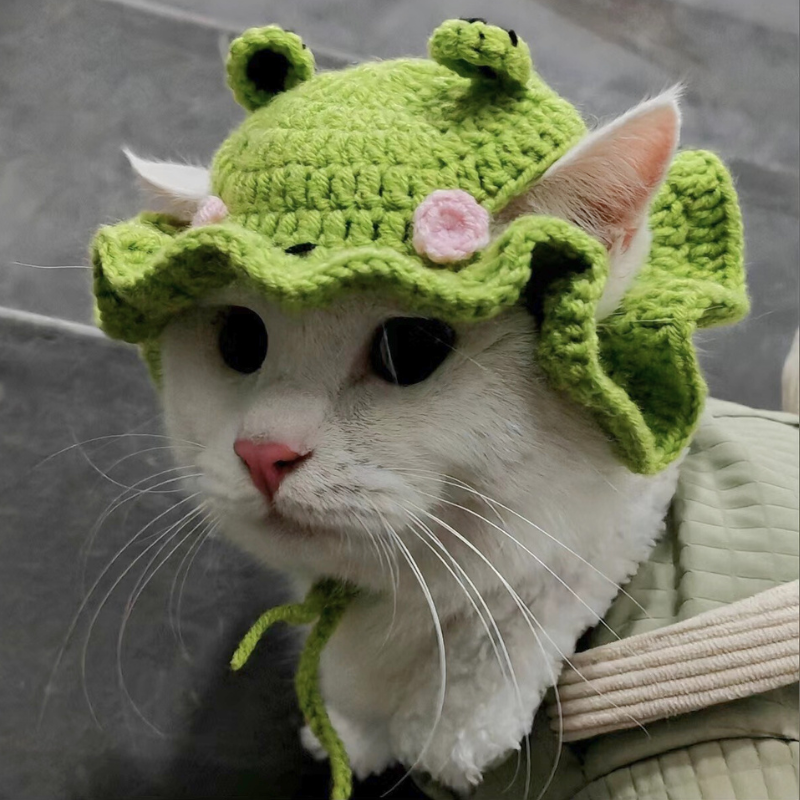 🐸 Frog Prince Kitty Hat
